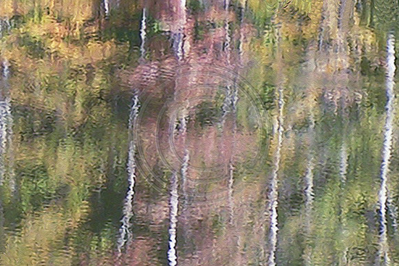 Painterly Impressions