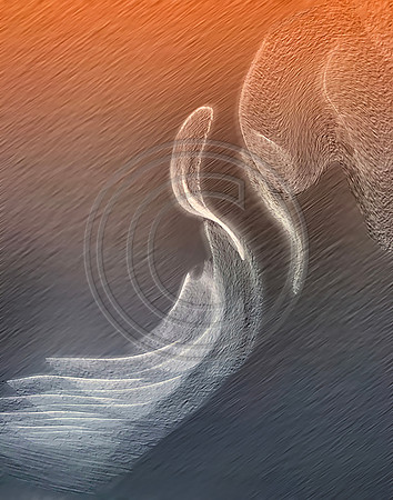 Mating Dance