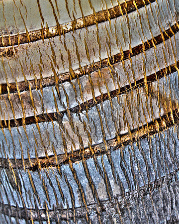 Woven by Nature