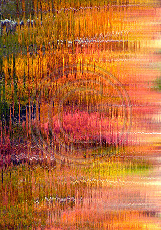 Color Of Water