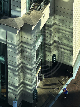 Bathed In Shadow