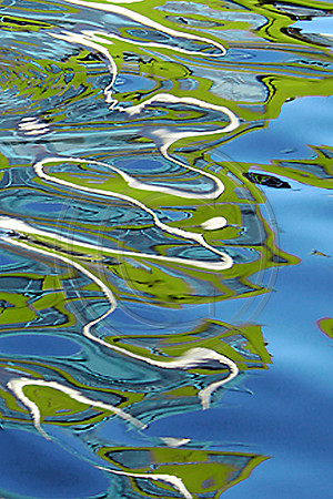 Blue-Green Fluidity