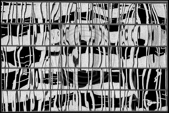 Reflections in Black & White